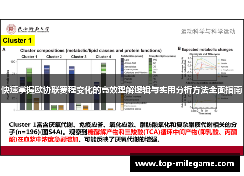 快速掌握欧协联赛程变化的高效理解逻辑与实用分析方法全面指南